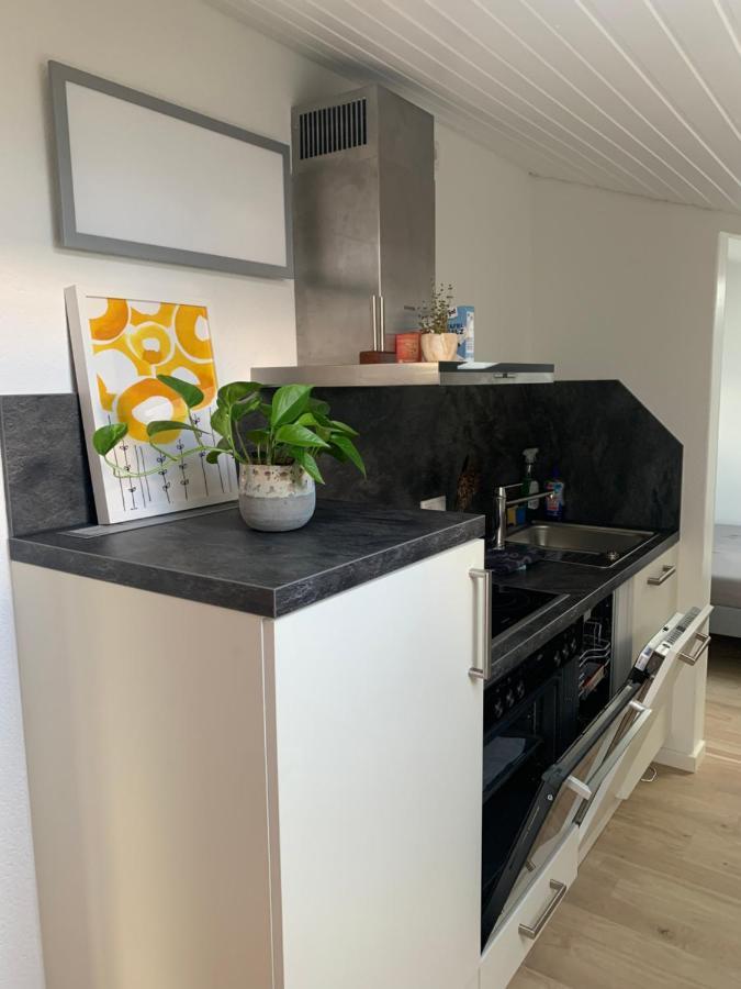 Schoene, Grosse Ferienwohnung Direkt Am Donauradweg & Keltenstadt Heuneburg Herbertingen Zewnętrze zdjęcie