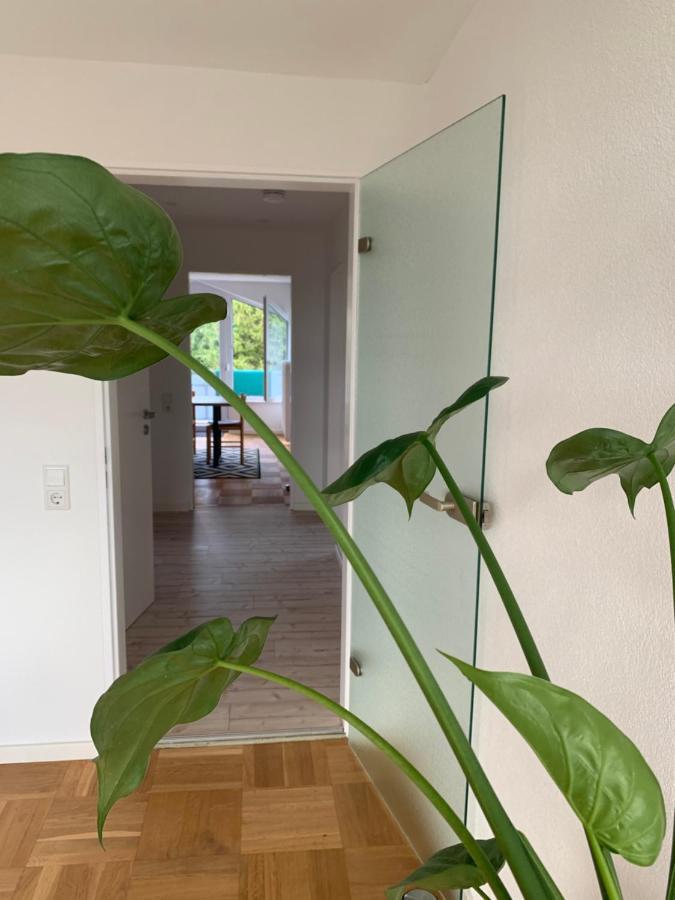 Schoene, Grosse Ferienwohnung Direkt Am Donauradweg & Keltenstadt Heuneburg Herbertingen Zewnętrze zdjęcie